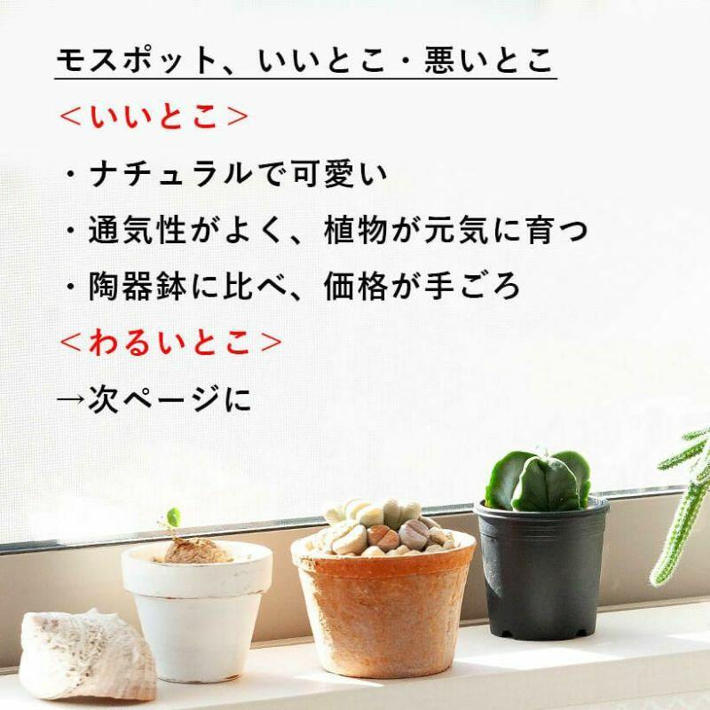 植木鉢 素焼き アンティーク モスポット 5号( アンティーク風