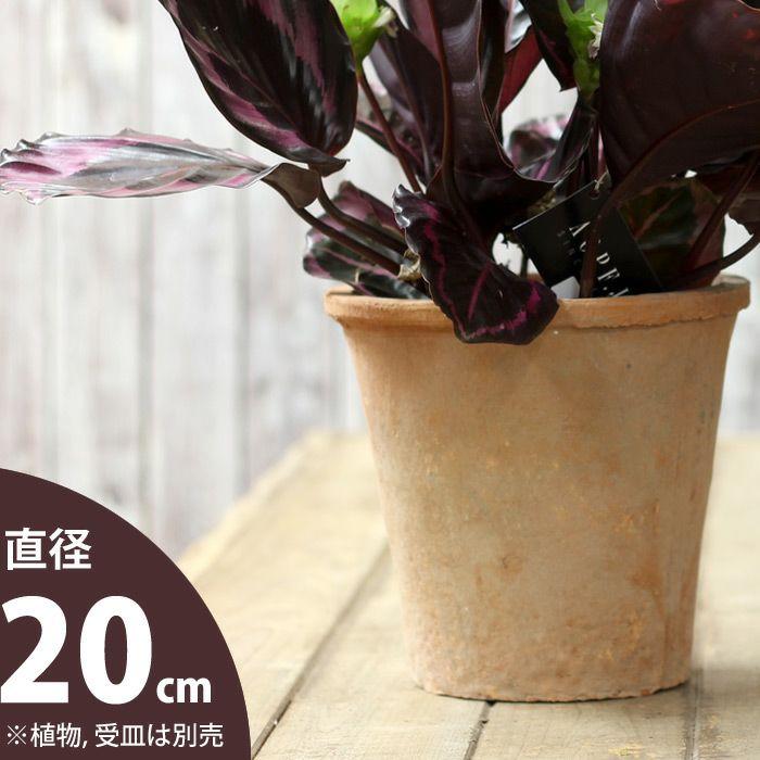 植木鉢 素焼き アンティーク モスポット 6号( アンティーク風