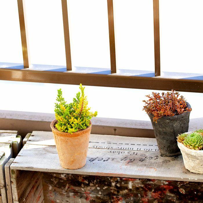 植木鉢 素焼き 植え替え アンティーク モスポット直径10cm×高さ12cm 3