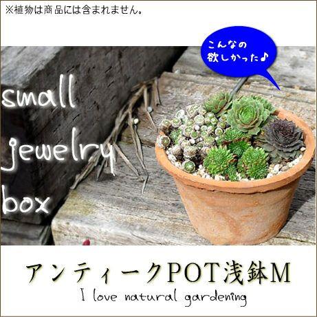 植木鉢 素焼き アンティーク モスポット浅鉢 5号（直径19cm/高さ12cm