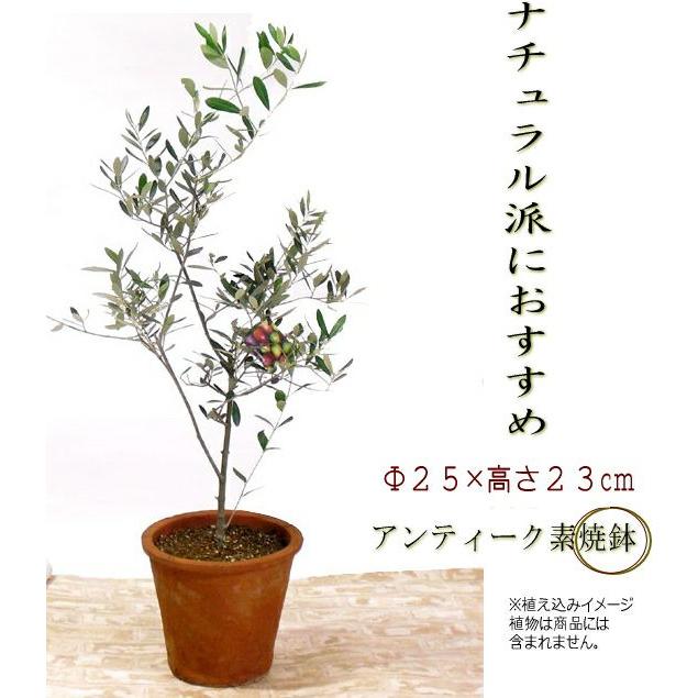 植木鉢 素焼き アンティーク モスポット6〜7号( アンティーク風