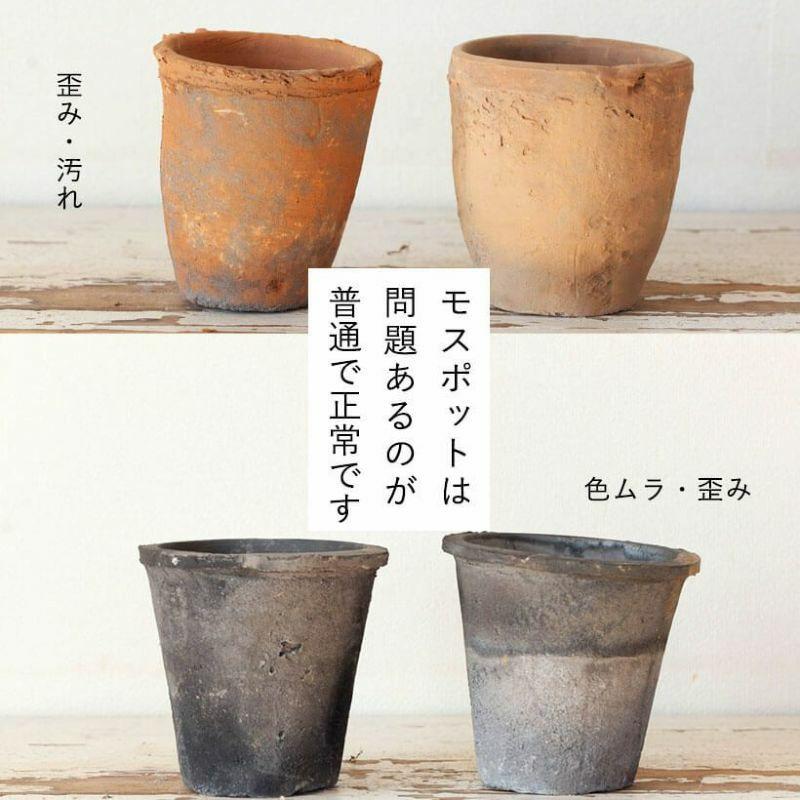 植木鉢 素焼き アンティーク モスポット6〜7号( アンティーク風
