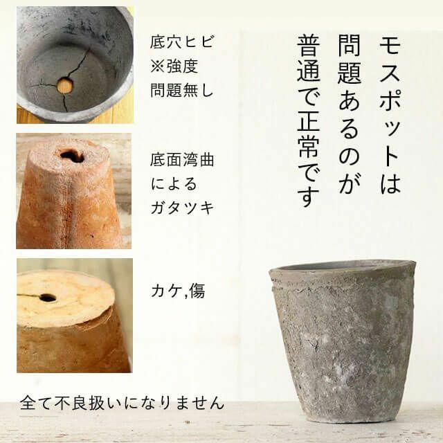 植木鉢 素焼き アンティーク モスポット浅鉢（直径10cm/高さ6cm) 3号