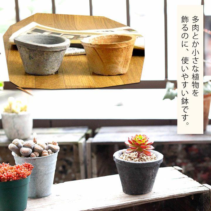 E-111.浅型素焼き鉢 リメイク　アンティーク風 ハンドメイド 多肉植物 素焼き鉢 アンティーク風ペイントリメイク 一輪挿し・花瓶・花器 Snow