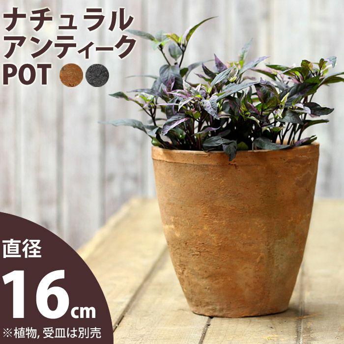 植木鉢 素焼き アンティーク モスポット 5号(直径16.5cm/高さ17.5cm