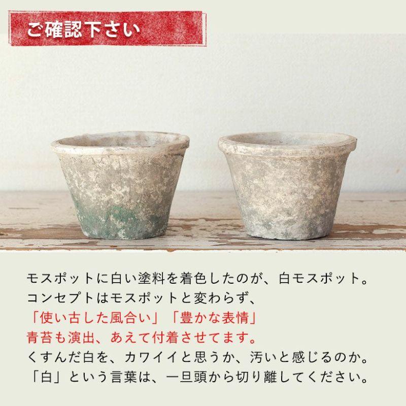 植木鉢 素焼き 植え替え アンティーク 白のモスポット浅鉢（10cm/高さ