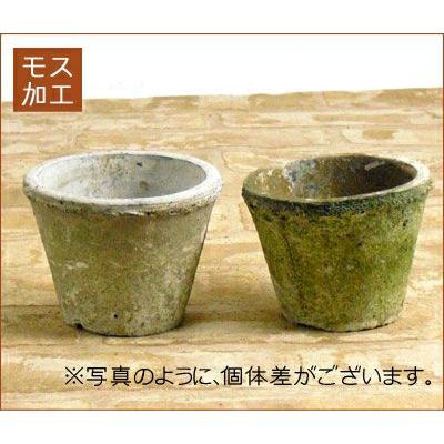 植木鉢 素焼き 植え替え アンティーク 白のモスポット浅鉢（10cm/高さ