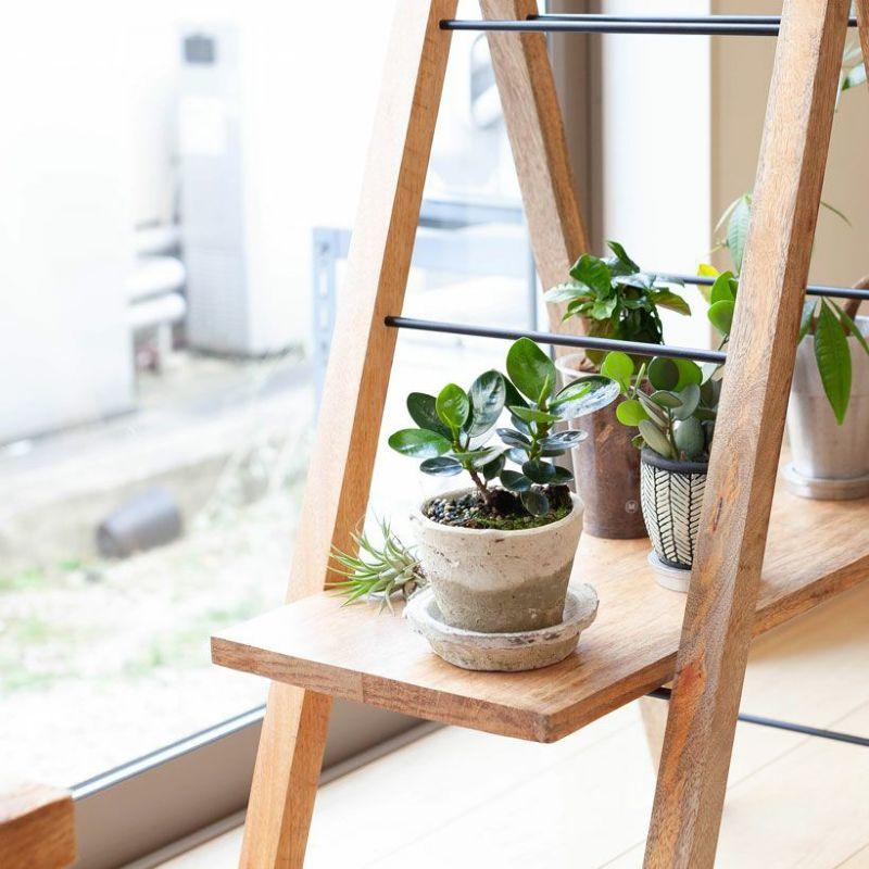　素焼きの植木鉢　白い鉢　鉢用スタンド 植木鉢 素焼き 植え替え アンティーク 白のモスポット浅鉢（10cm/高さ