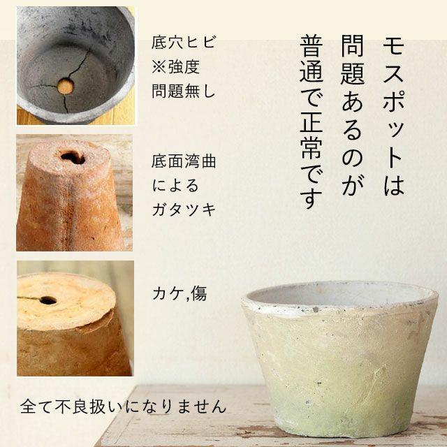 植木鉢 素焼き 植え替え アンティーク 白のモスポット浅鉢（10cm/高さ