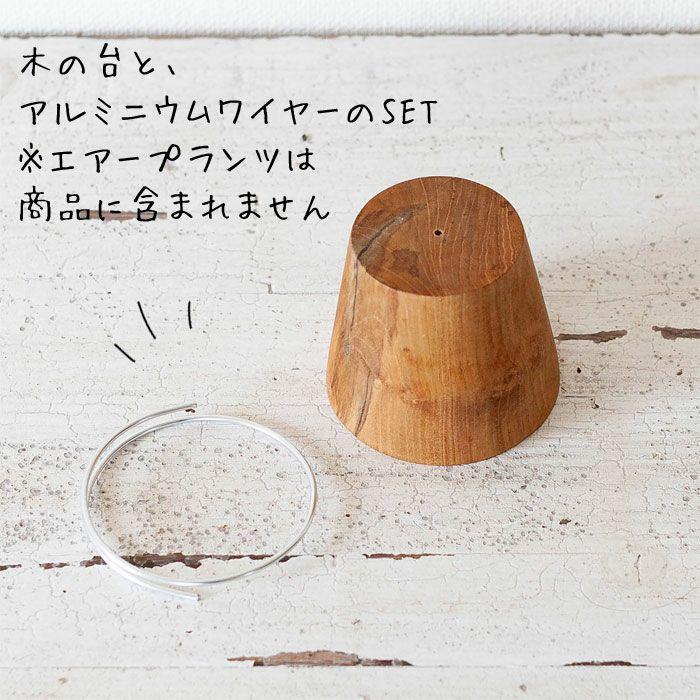 大人のインテリア。チーク材のエアープランツスタンド。 : e-花屋さん