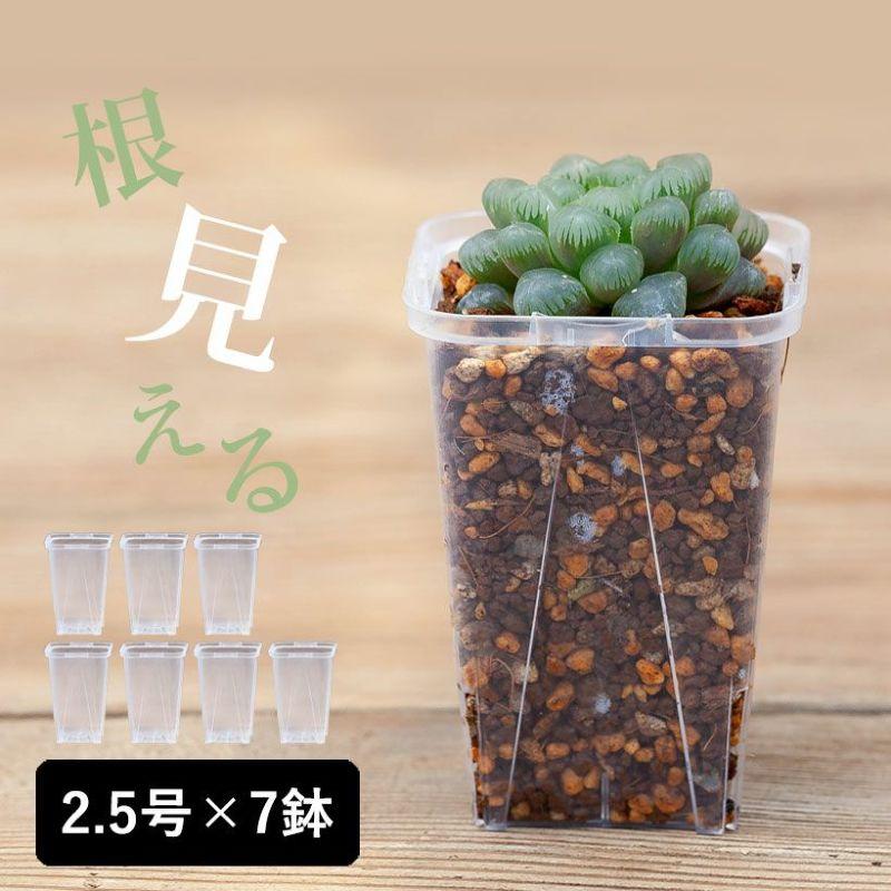 ネガミエル 透明スリット鉢 2.5号サイズ×7鉢SET 根が見える 浅岡