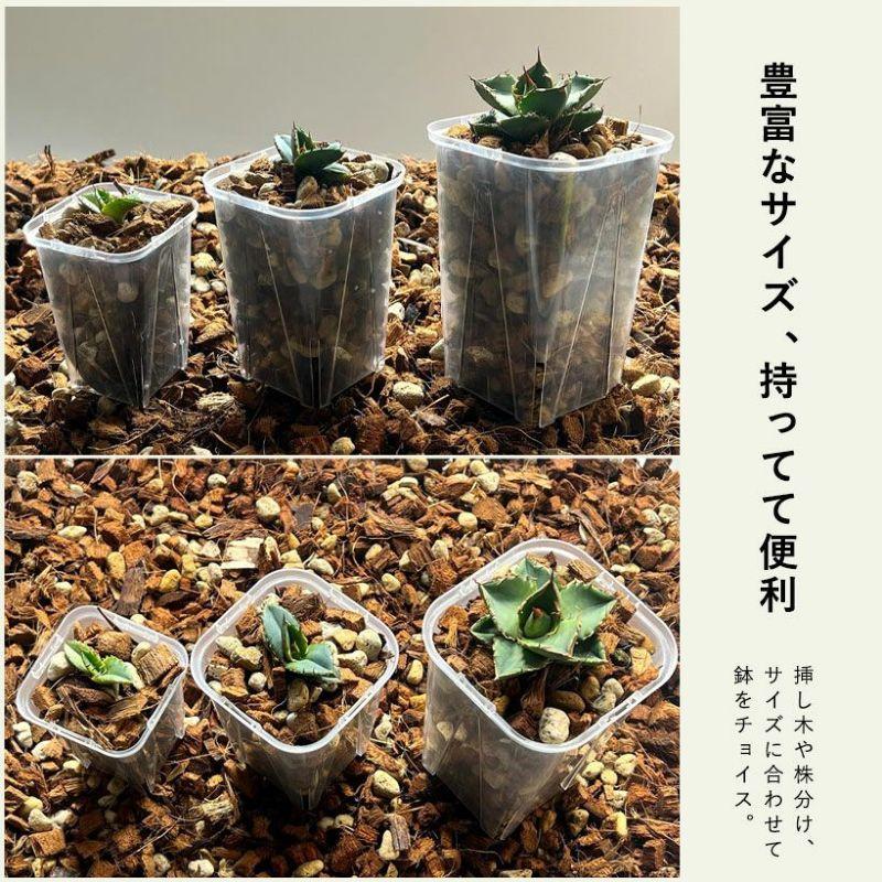 植木鉢 透明 プラ鉢 ネガミエル 透明スリット鉢[3.5号サイズ×5鉢SET]｜e-8783｜09