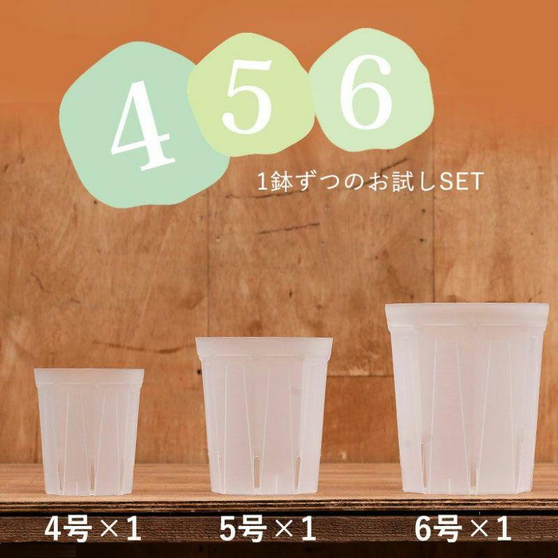 ネガミエル 透明スリット4・5・6SET [4号、5号、6号×各1] 根が見える
