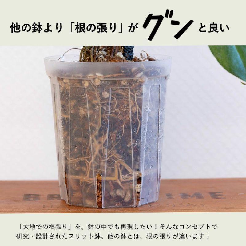 植木鉢 透明 プラ鉢 樹脂製 透明スリット鉢[4号サイズ×3鉢SET 植木鉢 透明 プラ鉢 樹脂製 透明スリット鉢[4号サイズ×3鉢SET