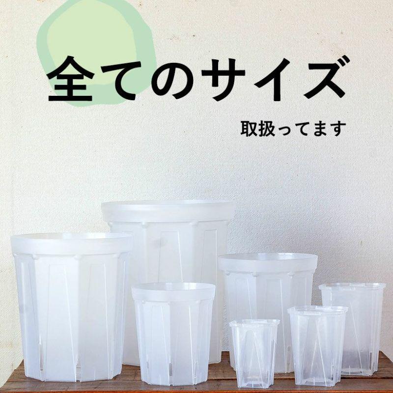 ネガミエル 透明スリット鉢 5号サイズ×3鉢SET 根が見える 浅岡園芸