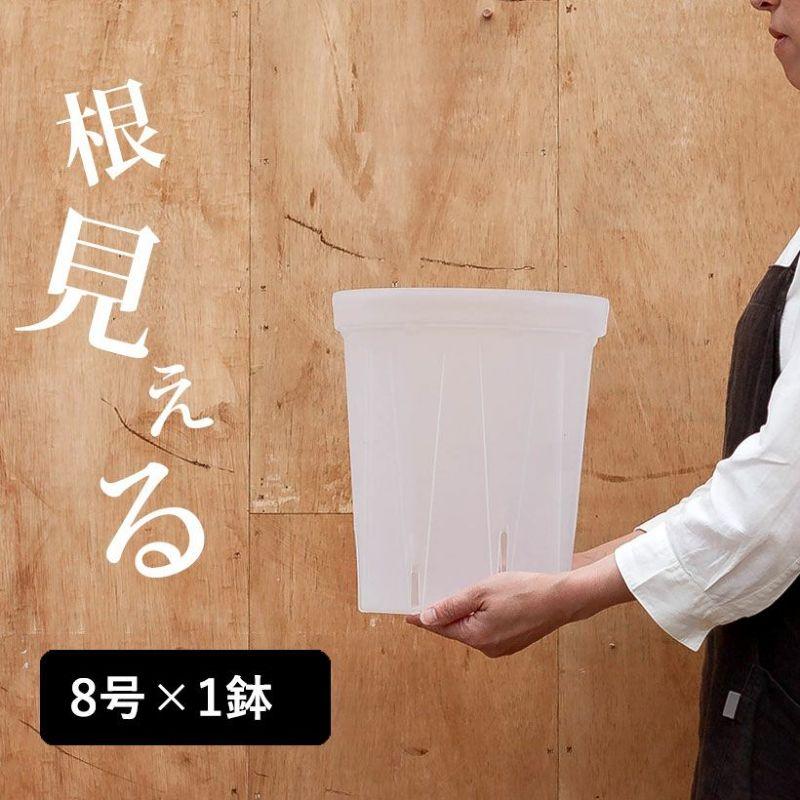 ネガミエル 透明スリット鉢 8号サイズ×1鉢 根が見える 浅岡園芸