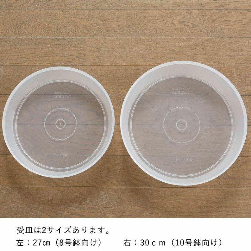ネガミエル 透明スリット鉢 8号 10号 受皿付き 根が見える 浅岡園芸