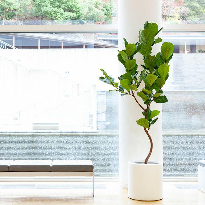 鉢 植木鉢 室内 大型 鉢カバー おしゃれ 大型シリンダー植木鉢〈45cm