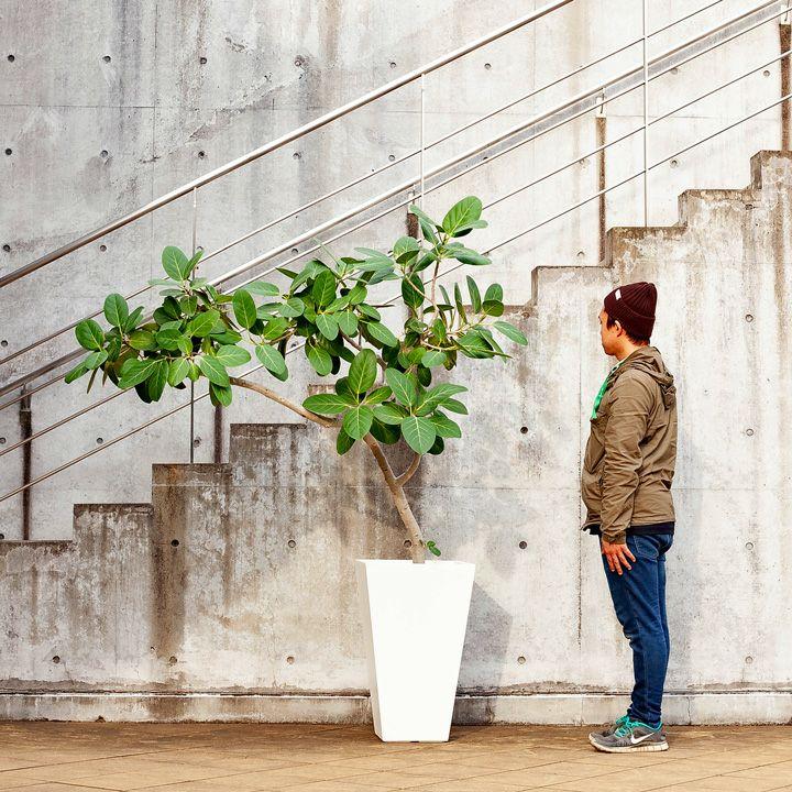 鉢 植木鉢 大型 鉢カバー 室内 屋外 リゾート風・大型スクエアトール