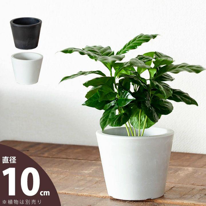鉢 植木鉢 おしゃれ 室内 マット 植物の美しさを引き立てる、上品