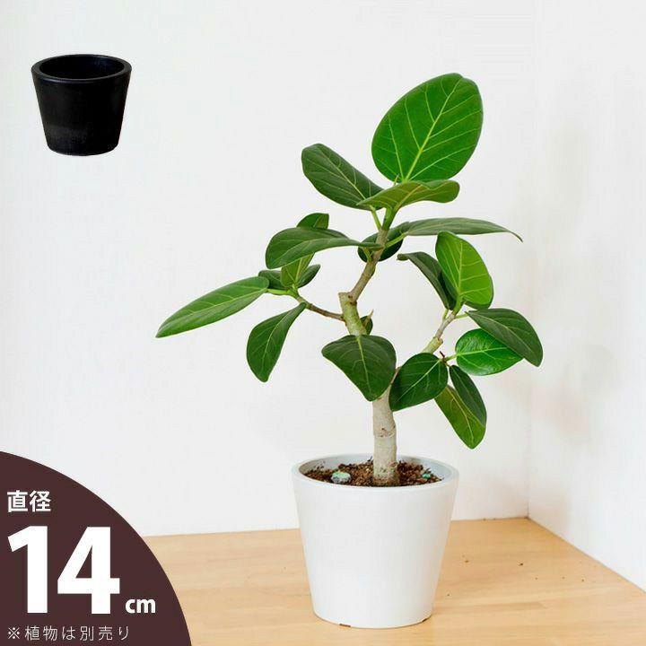鉢 植木鉢 おしゃれ 室内 鉢カバー 植え替え マット 植物の美しさを