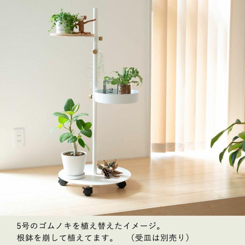 鉢 植木鉢 おしゃれ 室内 鉢カバー 植え替え マット 植物の美しさを