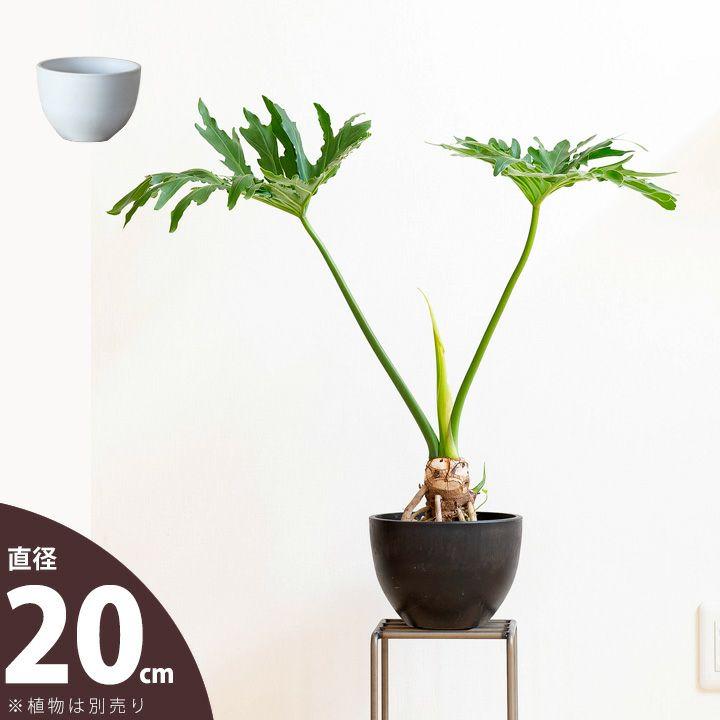鉢 植木鉢 おしゃれ 室内 鉢カバー 植え替え マット ボウル型