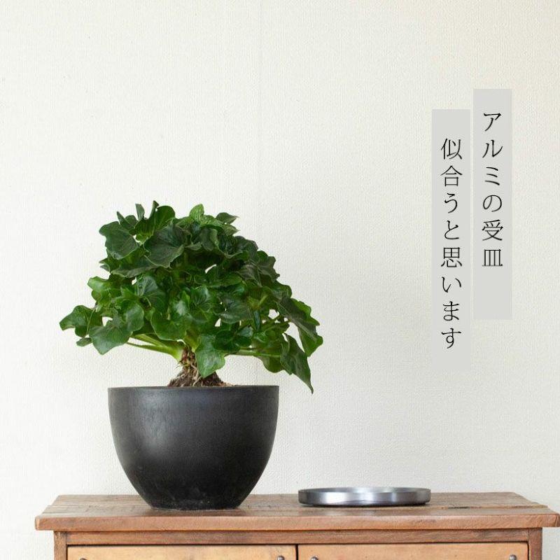 鉢 植木鉢 おしゃれ 室内 鉢カバー 植え替え マット ボウル型