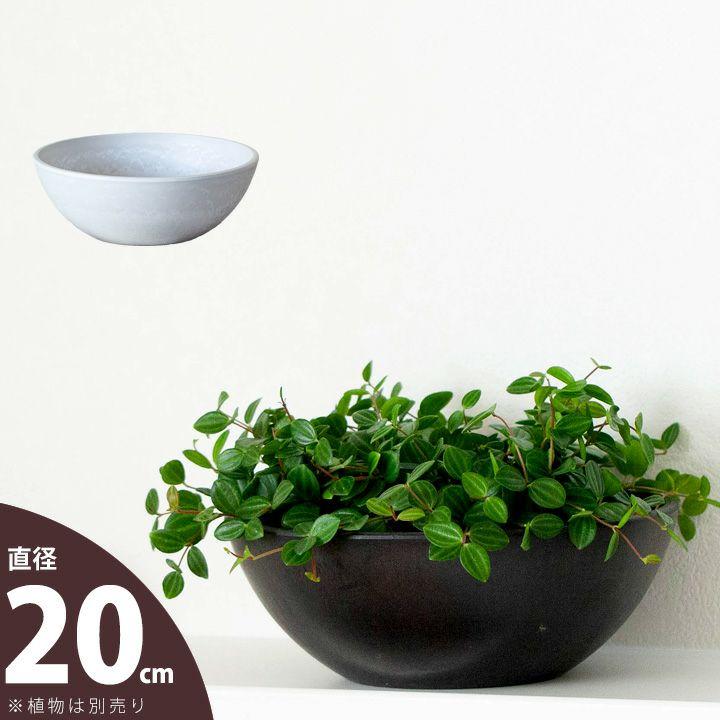 鉢 植木鉢 おしゃれ 室内 鉢カバー 植え替え マット ボウル型