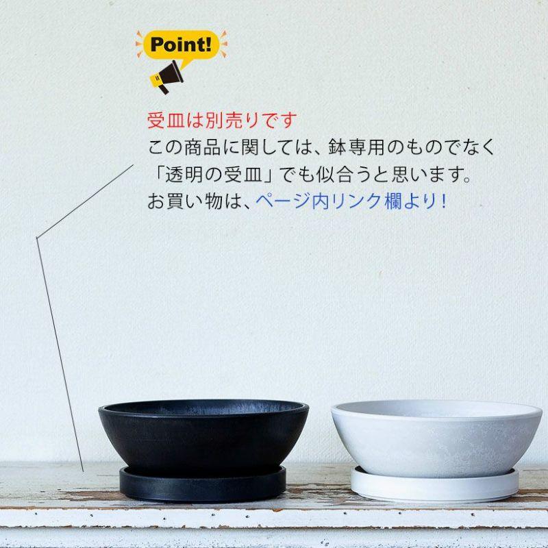 鉢 植木鉢 おしゃれ 室内 鉢カバー 植え替え マット ボウル型