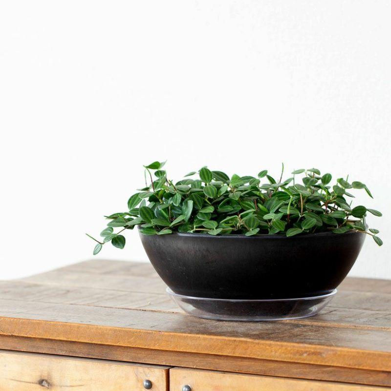 鉢 植木鉢 おしゃれ 室内 鉢カバー 植え替え マット ボウル型