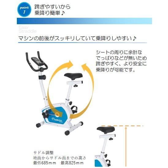 【即納可能】【DK-8310】ダイコー 大広 DAIKOU 　正規販売店 家庭用アップライトバイク（手動負荷方式）　DK-8310 cm