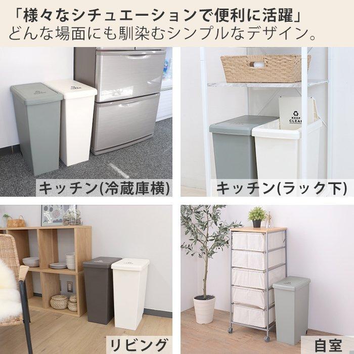 東谷 ゴミ箱 ダストボックス 30L 2点セット 日本製 キャスター付き 蓋