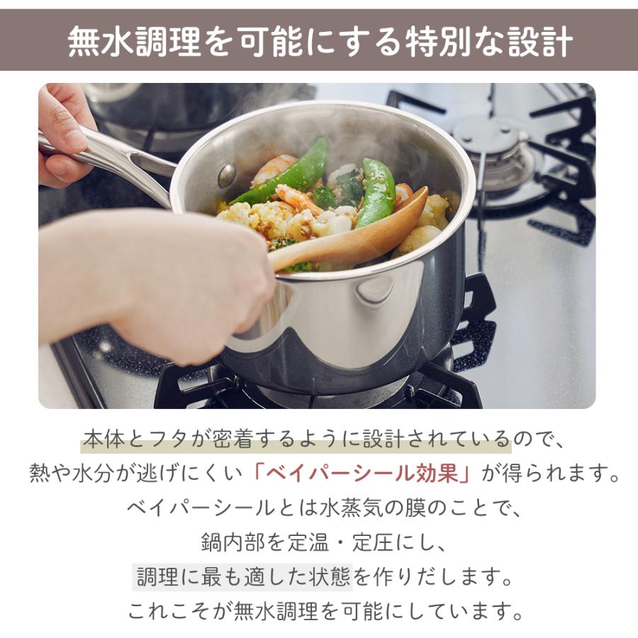 Vita Craft（ビタクラフト） (豪華2大特典) VitaCraft Nシリーズ