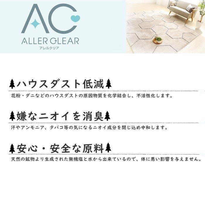 特典セット プレーベル (豪華2大特典)ラグ マット おしゃれ 北欧