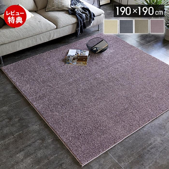スミノエ (豪華2大特典) ラグ 日本製 マット 190×190 2畳 厚手 床暖房