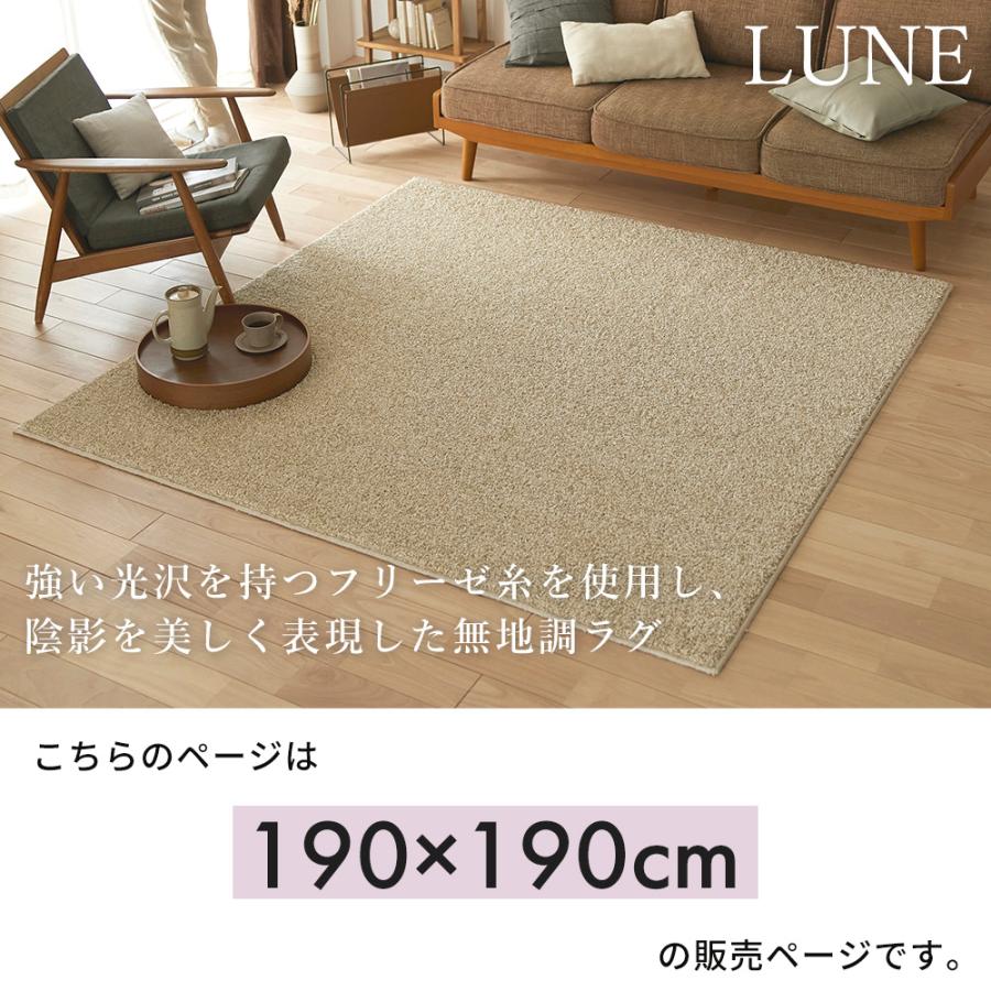 スミノエ (豪華2大特典) ラグ 日本製 マット 190×190 2畳 厚手 床暖房