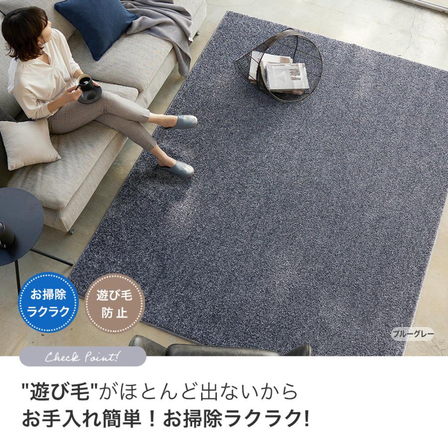 スミノエ (豪華2大特典) ラグ 日本製 マット 190×190 2畳 厚手 床暖房