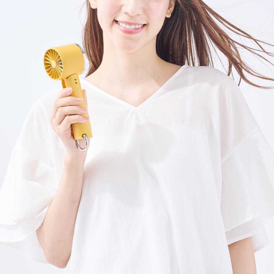 ふぁんふぁん★様 ハンディファン 冷却プレート 折りたたみ可能 ラドンナ Toffy HFN6