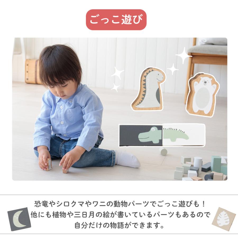 TRYCO（トライコ） 積み木 ブロック 知育 50ピース 大容量 セット
