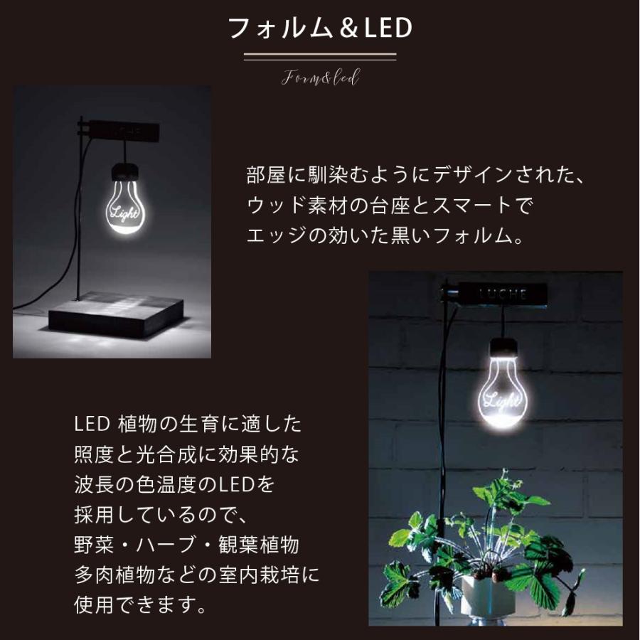 セール価格 栽培用ライト Ledスタンドライト 植物栽培 植物育成 野菜 照明 Led おしゃれ デスクライト 卓上 プレゼント ポットランド Luche ルーチェ Usb電源