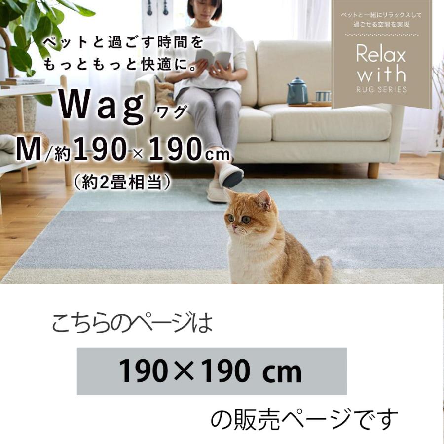 もこページ スミノエ ラグマット 日本製 ペット対応 消臭ラグ 190×190cm