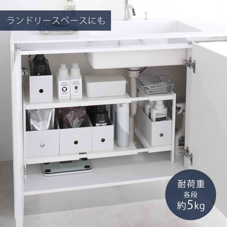 tower 山崎実業 公式 タワー 伸縮シンク下ラック 2段 D30 キッチン 