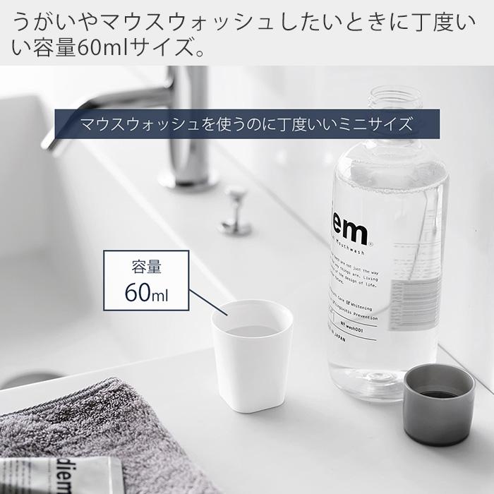 tower 山崎実業 公式 タワー フィルムフックマグネットマウス