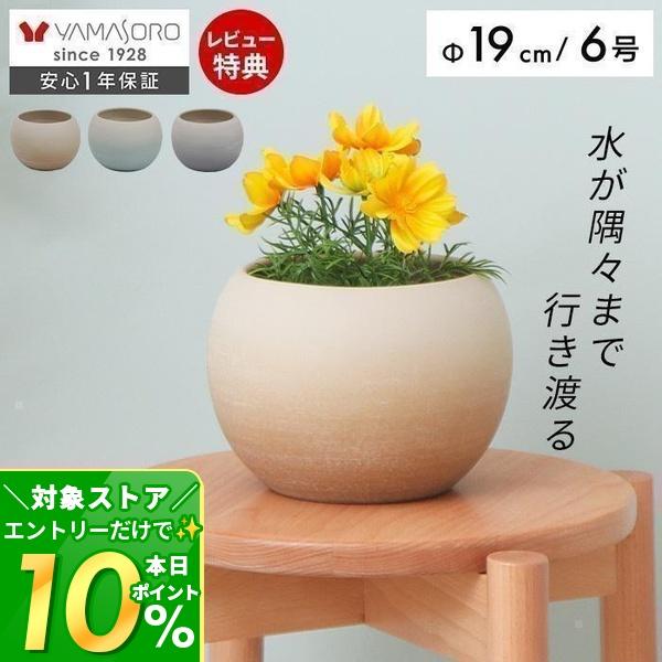 観葉植物　鉢　 ヤマソロ 植木鉢 フラワーポット 観葉植物 グリーン インテリア
