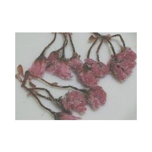 超目玉 桜の花 塩漬け 神奈川県産 ３０ｇ Wantannas Go Id