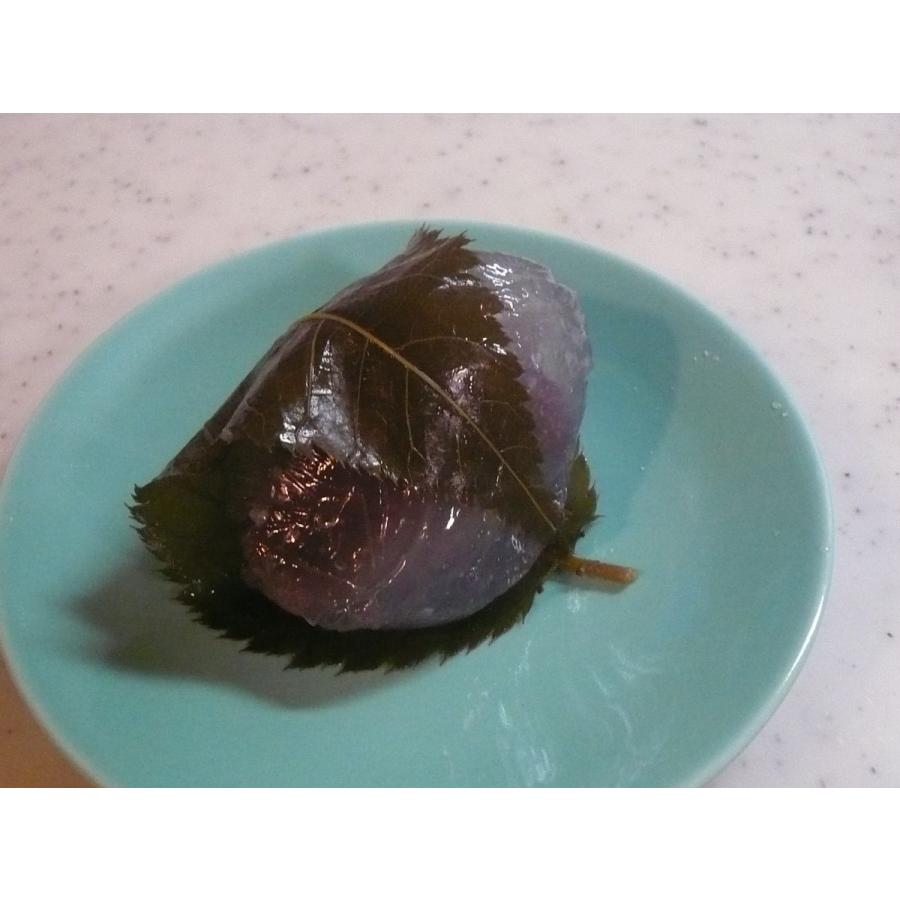 21春夏新作 桜葉 茶 ２０枚