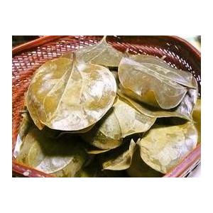 【最終値下げ】 サンキラ葉　１０００枚×６ 【5596744611】(19656円)