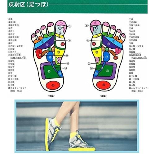 ダイエットインソール エクササイズ 足裏のツボを刺激する ポイント