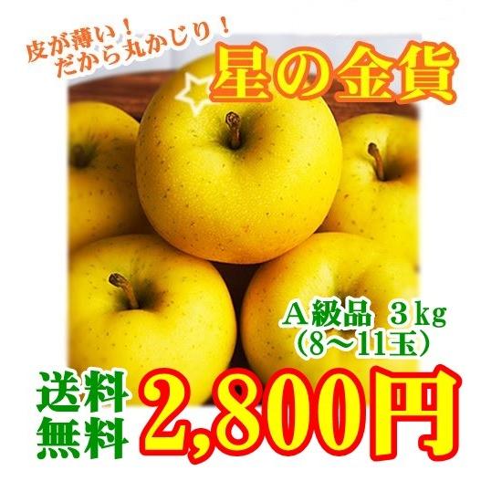 星の金貨 りんご A級品 3ｋｇ 一部地域送料無料 203 E Apple ヤフー店 通販 Yahoo ショッピング